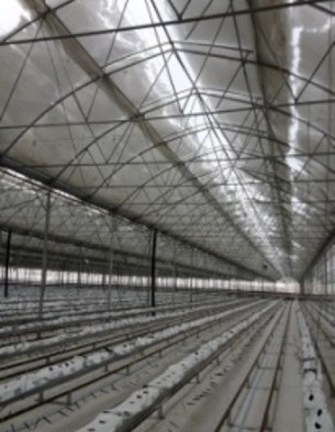 Modern Sera Sistemleri: Anahtar Teslim Sera Sistemleri