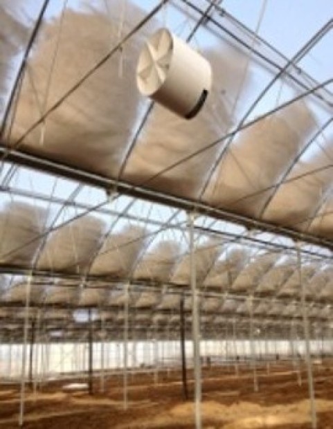 Modern Sera Sistemleri: Anahtar Teslim Sera Sistemleri