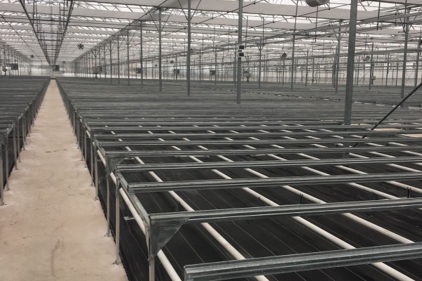 Modern Sera Sistemleri: Anahtar Teslim Sera Sistemleri