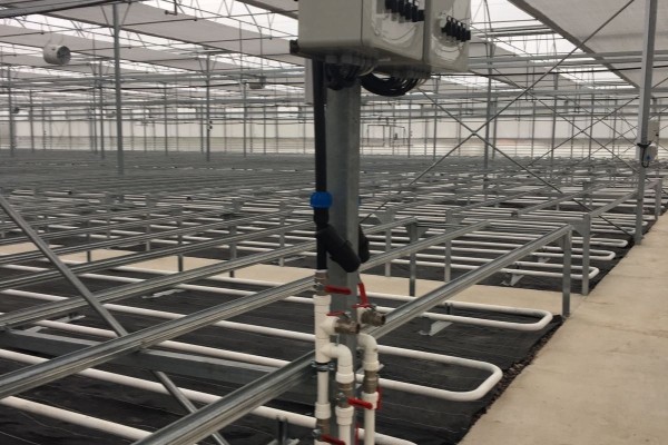 Modern Sera Sistemleri: Anahtar Teslim Sera Sistemleri