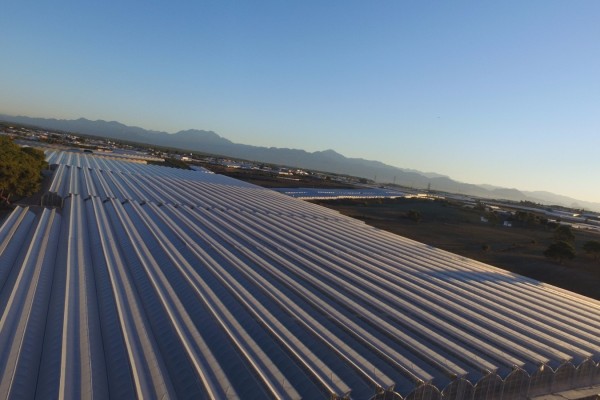 Modern Sera Sistemleri: Anahtar Teslim Sera Sistemleri