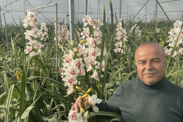 Modern Sera Sistemleri: Anahtar Teslim Sera Sistemleri