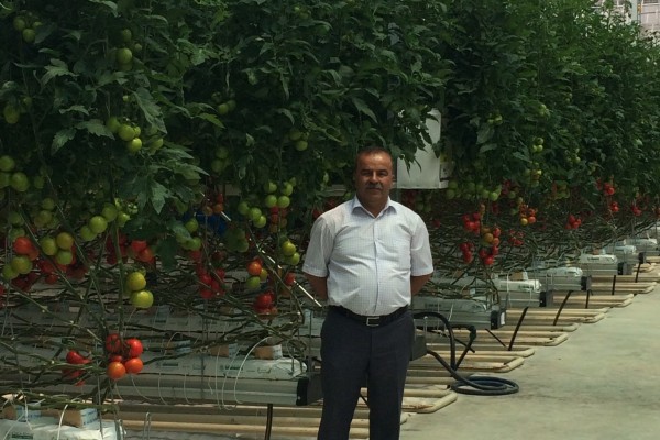 Modern Sera Sistemleri: Anahtar Teslim Sera Sistemleri