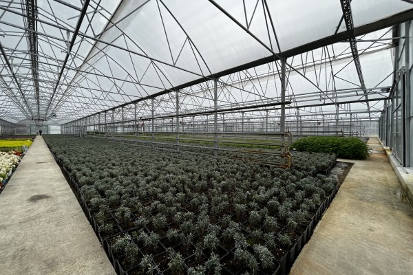 Modern Sera Sistemleri: Anahtar Teslim Sera Sistemleri