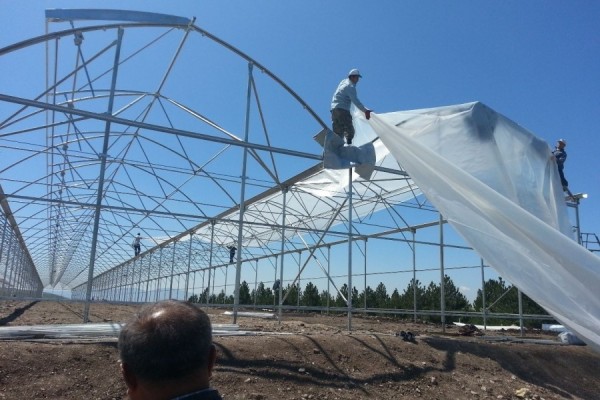 Plastik Sera Örtüsü