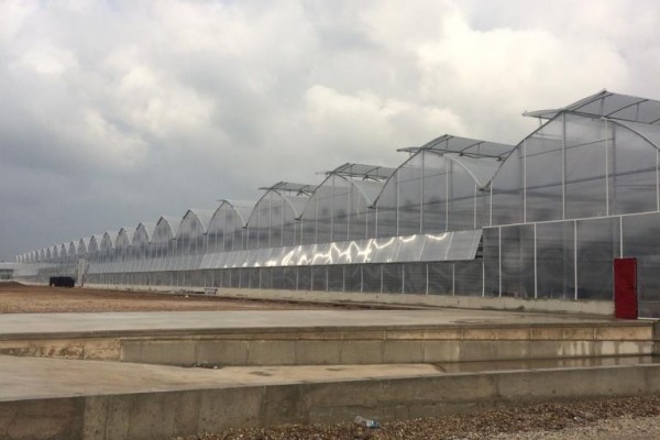 Modern Sera Sistemleri: Anahtar Teslim Sera Sistemleri