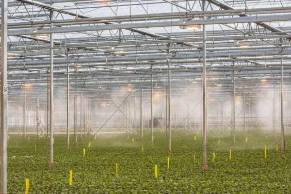 Yüksek Basınçlı Sisleme Sistemleri