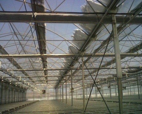 Modern Sera Sistemleri: Anahtar Teslim Sera Sistemleri