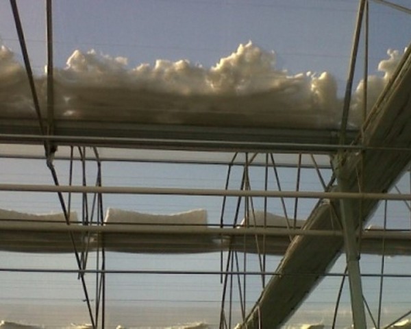 Modern Sera Sistemleri: Anahtar Teslim Sera Sistemleri