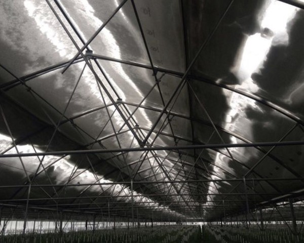 Modern Sera Sistemleri: Anahtar Teslim Sera Sistemleri