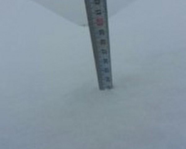 Modern Sera Sistemleri: Anahtar Teslim Sera Sistemleri