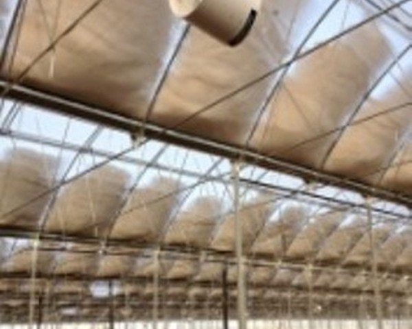 Modern Sera Sistemleri: Anahtar Teslim Sera Sistemleri