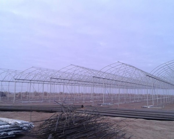 Modern Sera Sistemleri: Anahtar Teslim Sera Sistemleri